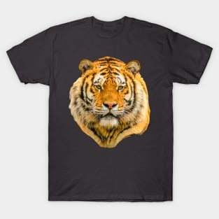 Siberian Tiger T-Shirt